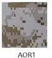 AOR1