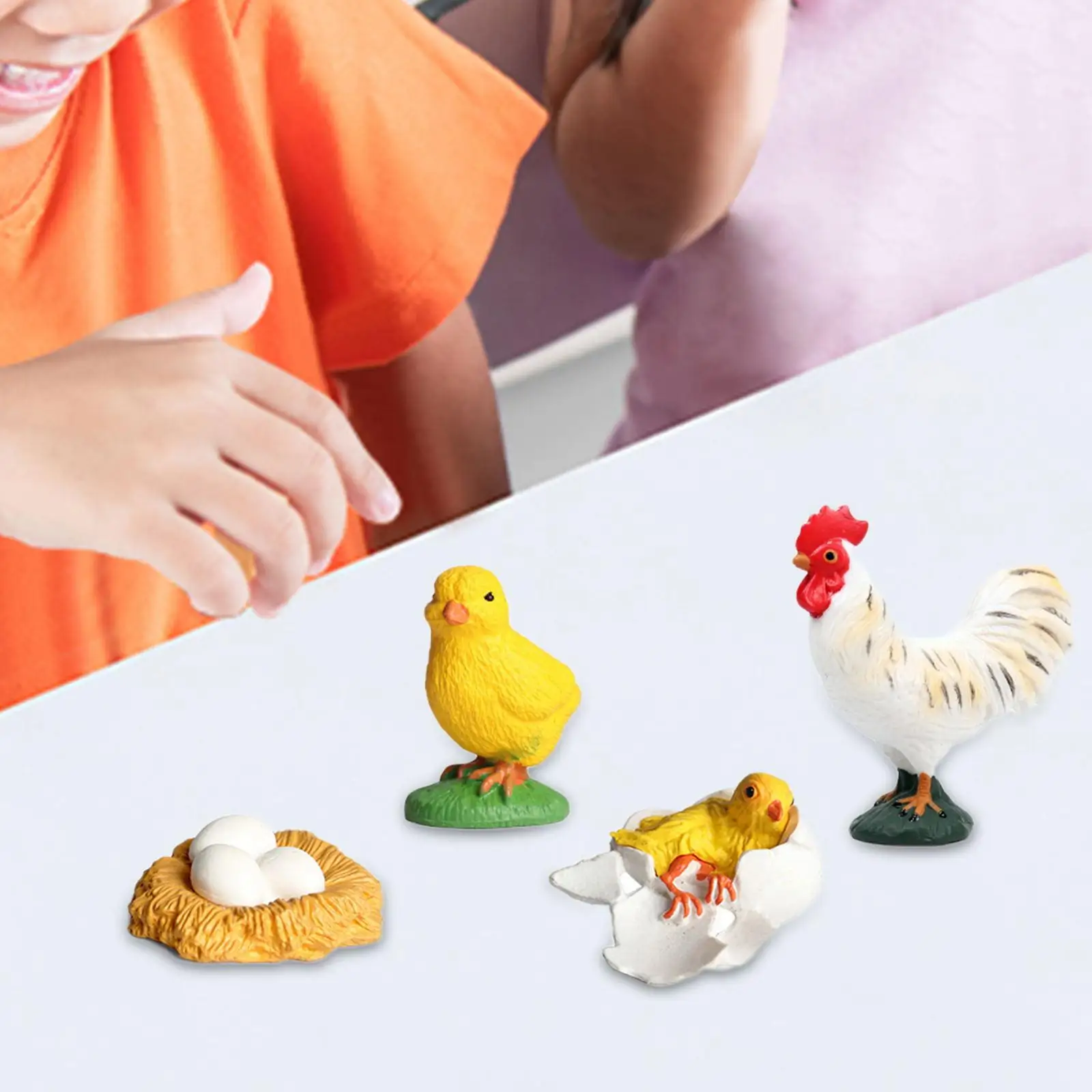 Rooster Life Cycle Set Life Cycle Animal Figurines Cognitive Education Toy Growth Stage Model Simulation Animal for Boy Toddlers