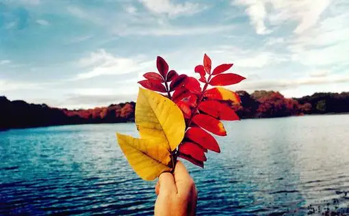 

Комплект из 4 металлических дисков-бидлоков 2,2 дюйма из алюминиевого сплава для радиоуправляемых краулеров TRX4, TRX6, Axial SCX10 III 1/10