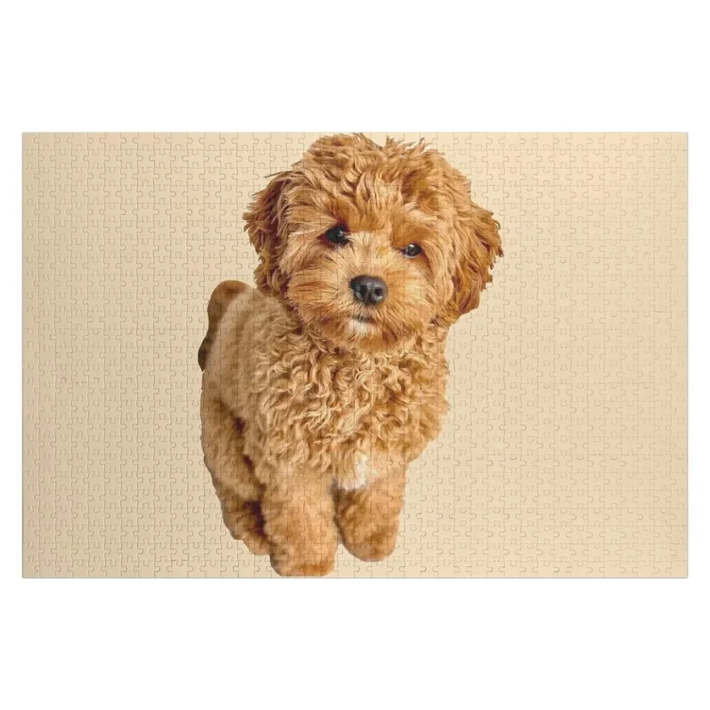 

Cavapoo Jigsaw Puzzle Custom Jigsaw With Photo Personalized Kids Gifts Wooden Boxes Puzzle