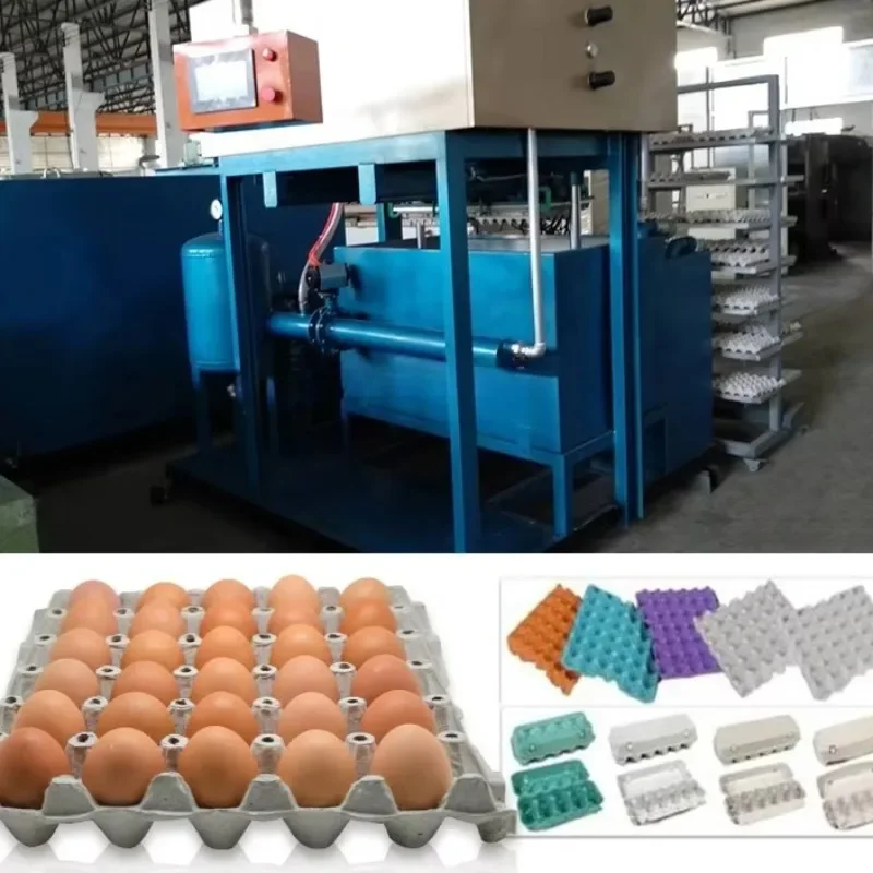 Small Scale Egg Tray Making Machine Production Line Pulp Forming Equipment For Home Based Business Egg Crate ManufacturingHot Sa