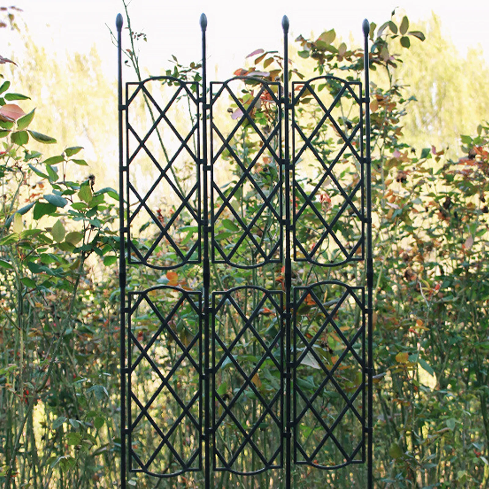 

Sturdy Plant Vine Support Rack Strong Bearing Capacity Easy Soil Insertion Fine Workmanship for Indoor Outdoor Climbing Plants