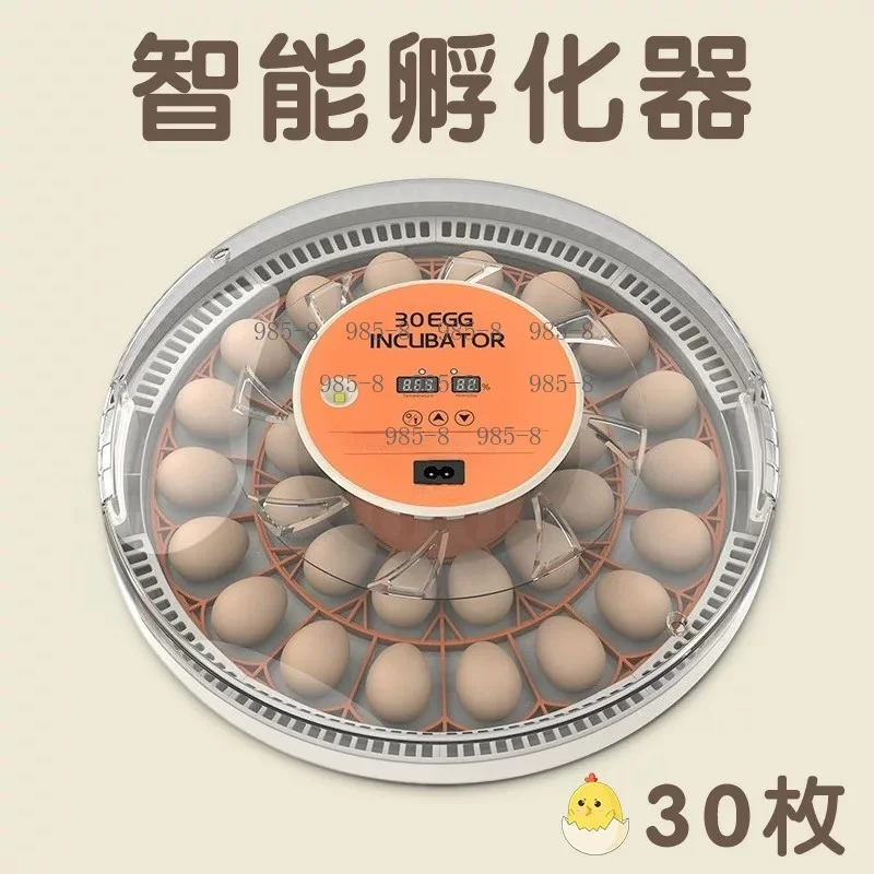 Mini Home Incubator with Automatic Egg Turning Function, 30-Egg Small Hatching Equipment
