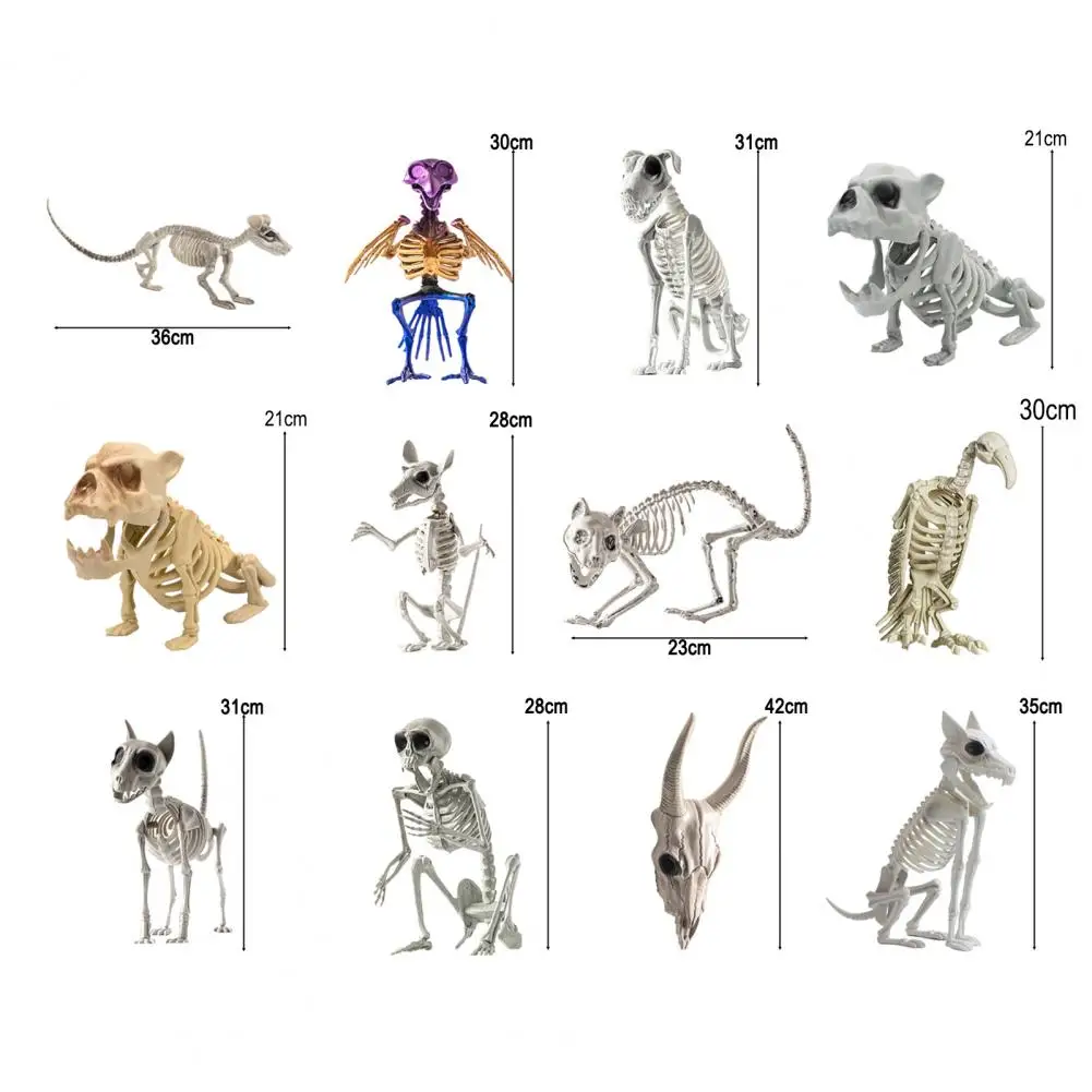 Crazy Bone Skeleton Bird Plastic Animal Skeleton Bones Horror Halloween Party Prop Decoration Dog Cat Skeleton Home Decoration