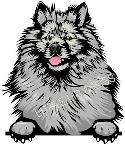 

For KEESHOND Peeking Dog Breed Colour Window Wall Laptop Sticker w/proof