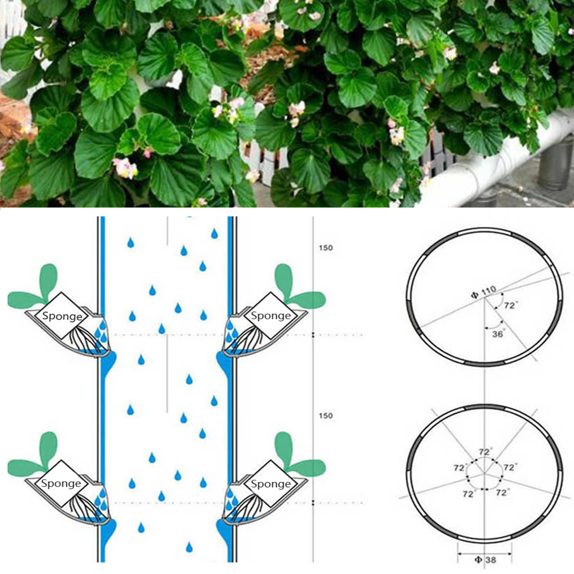 10 sztuk hydroponiczny sprzęt bezglebowy hydroponiczny system uprawy hydroponiczny sprzęt bezglebowy DIY hydroponiczny zestaw do ogrodu przedszkola