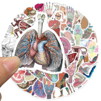 50pcs Aesthetic Medical Anatomy Stickers Human Organ Decals Waterproof for Skateboard Motorcycle Phone Car Scrapbooking