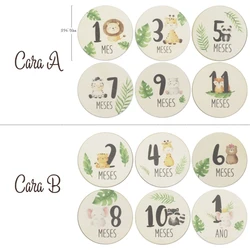 6 Pack Baby Milestone Cards  Infant  Discs Milestone Cards Birth Cards for Baby Shower- Newborn Photography Gift