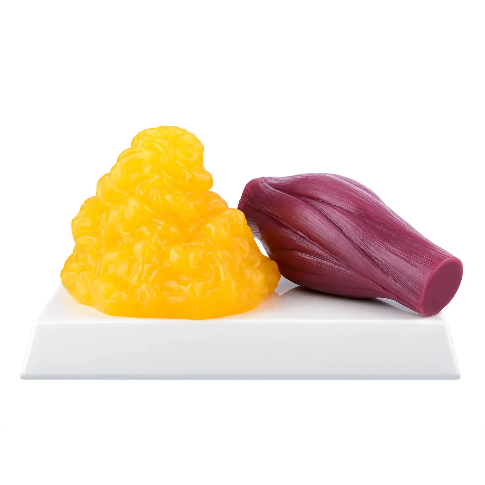 Ultrassist 1lb Fat vs 1lb Muscle Replica, Yamagata