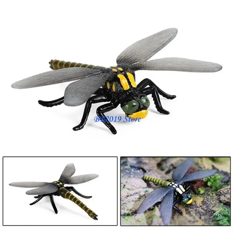 Q0KB Detailed Figure Perfect for Educational Display Model Miniatures Set Educational Toy Figurine