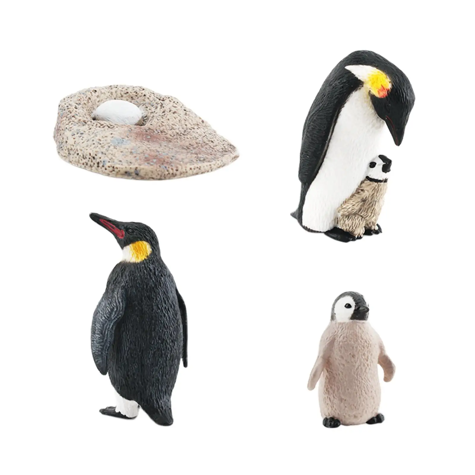 Penguin Growth Cycle Toys Animal Life Cycle Model Animal Figures Role Play