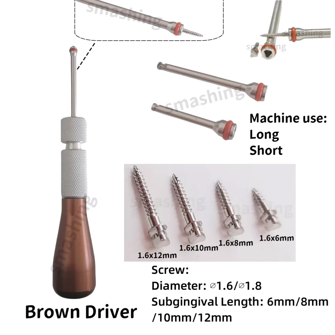 Temporary Anchorage System Mandrel Implants - Mini Micro Screws with Handpiece Key for Precise Orthodontic Application