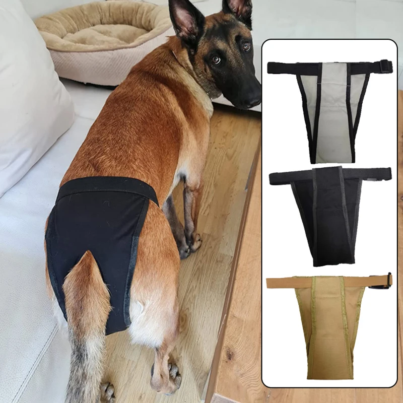 Dog Menstrual Pants With 3 Sanitary Pad Female Dog Physiological Pants Pet Safety Panties Protective Trousers Dog Diaper Clothes