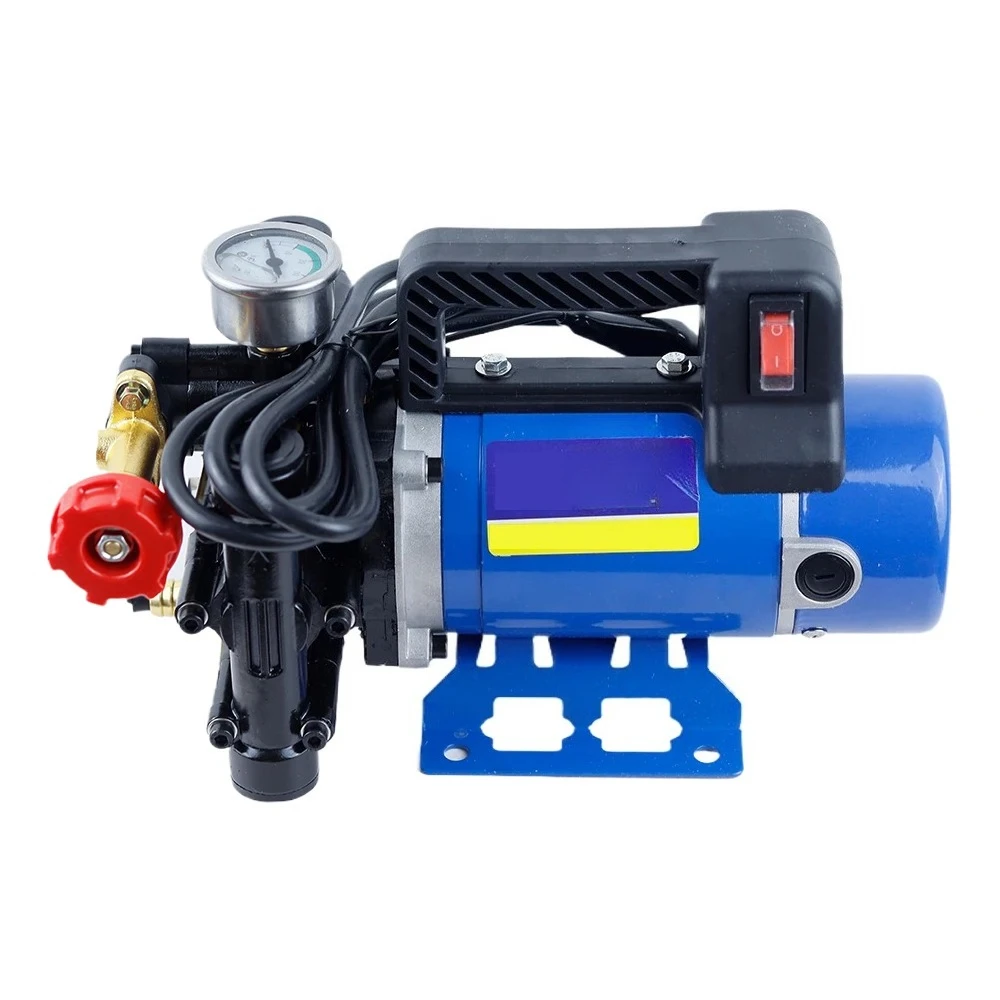 Agricultural Electric High Pressure Pump Spraying Watering Car Wash Irrigation Double Cylinder Piston 12V/24V/48V/60V/220V