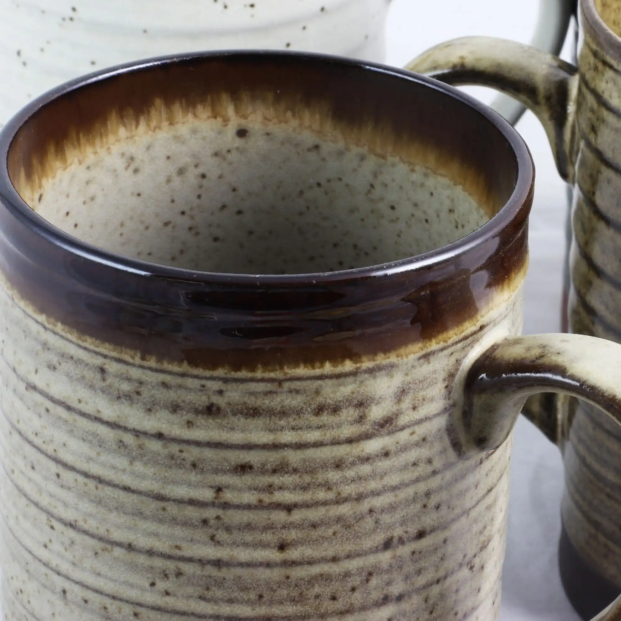 

Terra Bella 4 Piece 18.5 oz Mug Set in Assorted Colors