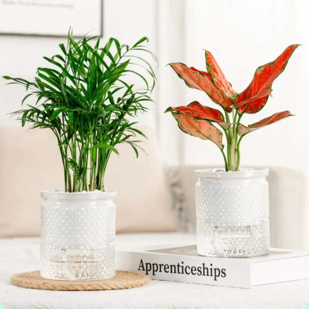 Imitation Glass Hydroponic Flowerpot Simple Style Transparent Aquatic Plant Containers Visiable Home Green Plant Flowerpot