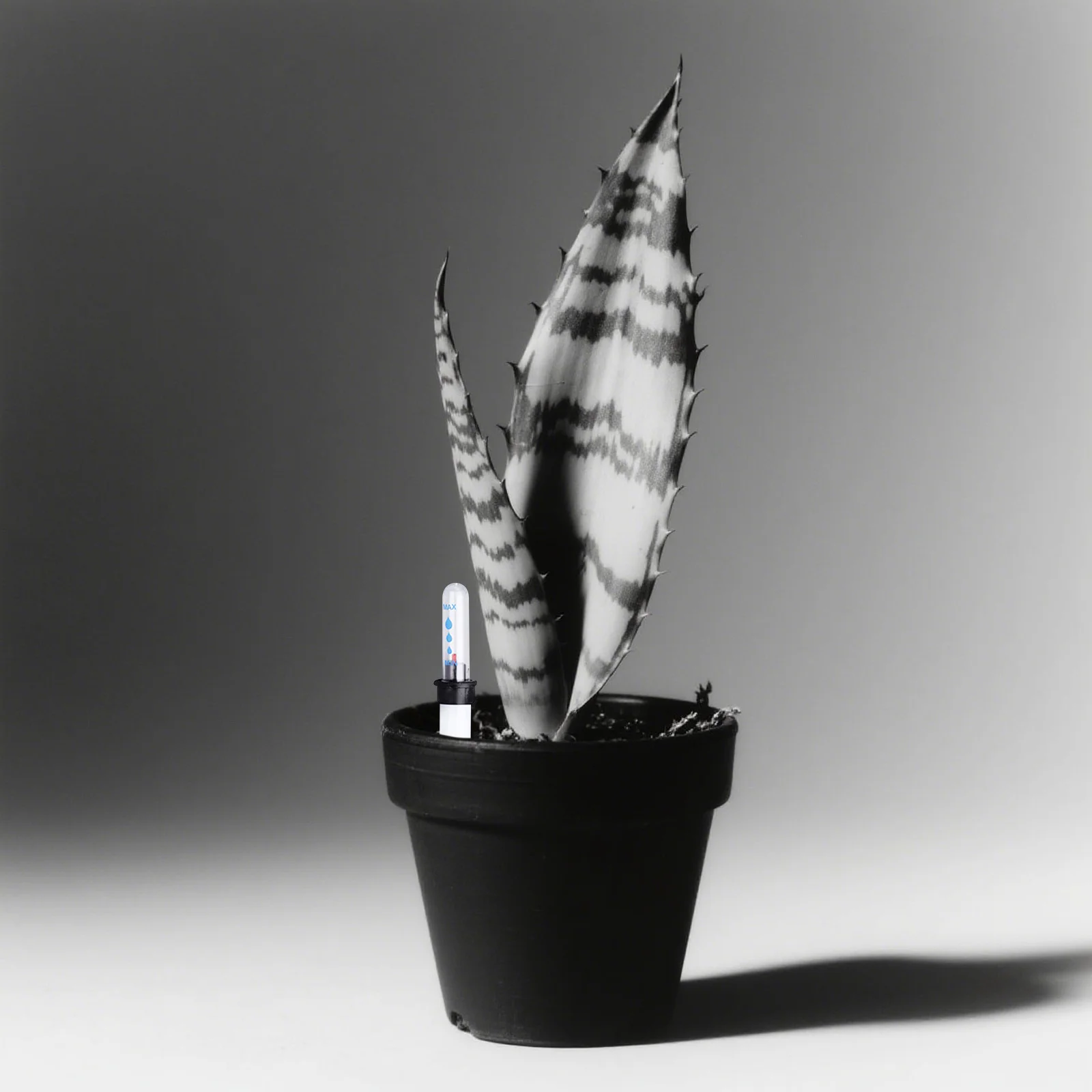 Indicateur de niveau d'eau pour plantes d'intérieur, moniteur de profondeur d'eau en temps réel, jauge de flotteur pour jardinières et conteneurs de jardin, 6 pièces