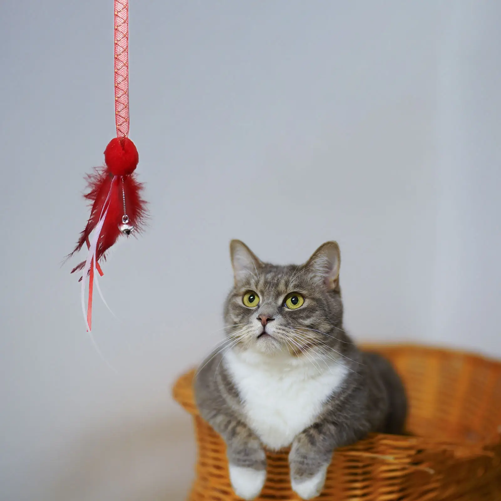 

3Pcs Cat Teaser Catcher Tube with Bells Catnip Infused PP Cotton Soft Safe Retractable Fun Kitten Cats Play Activity Stimulating