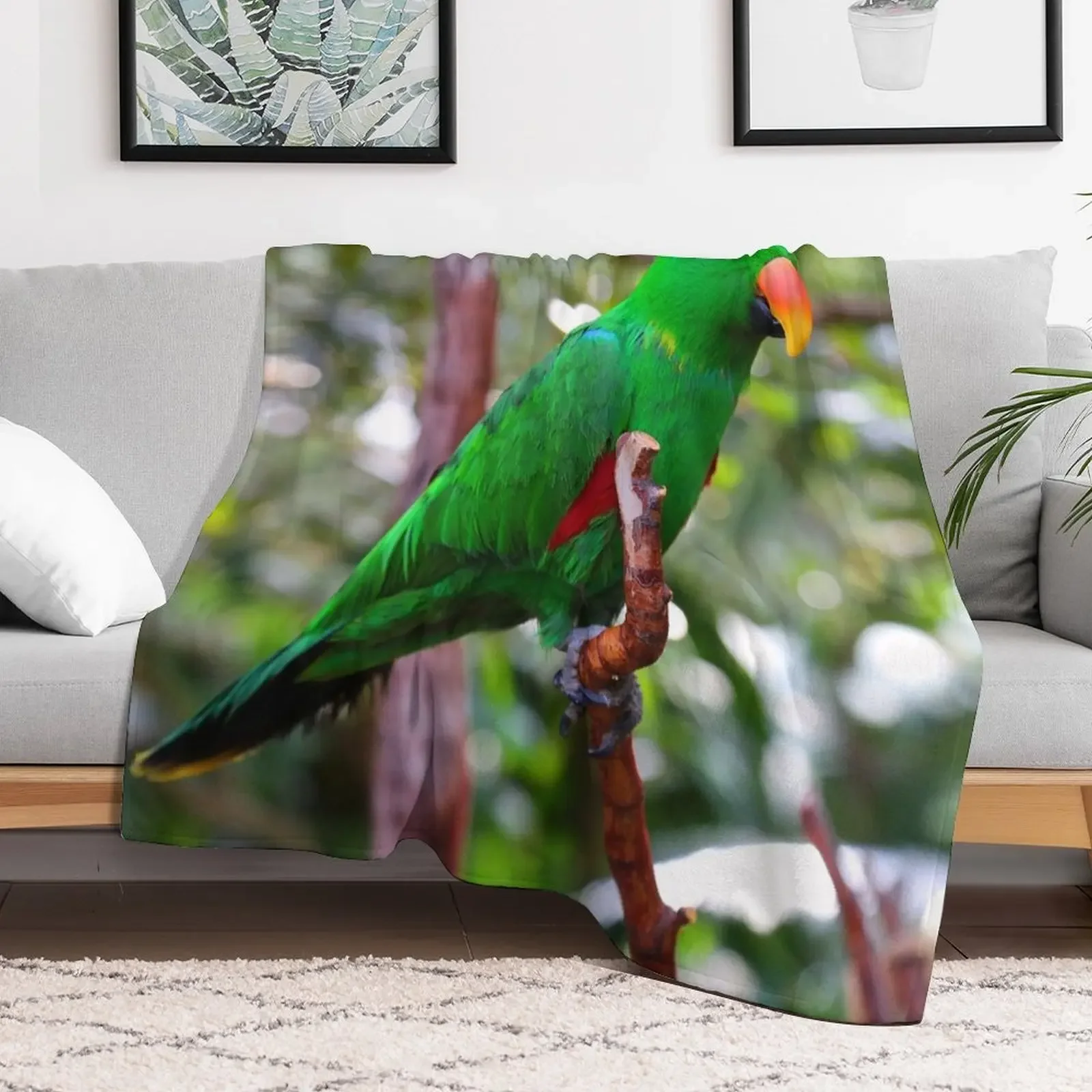 Stunning Eclectus Parrot on Branch Throw Blanket Spring Fall Cozy Throw Blanket for Couch