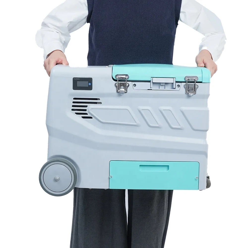 Huacooling -40 Degree Car Portable Freezer 10L Medical Ultra Low Temperature  Storage Freezer Refrigerator