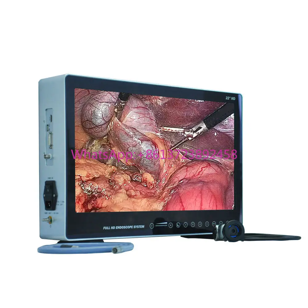 

4K UHD 9132 Portable Endoscopic Endoscope video for Vets