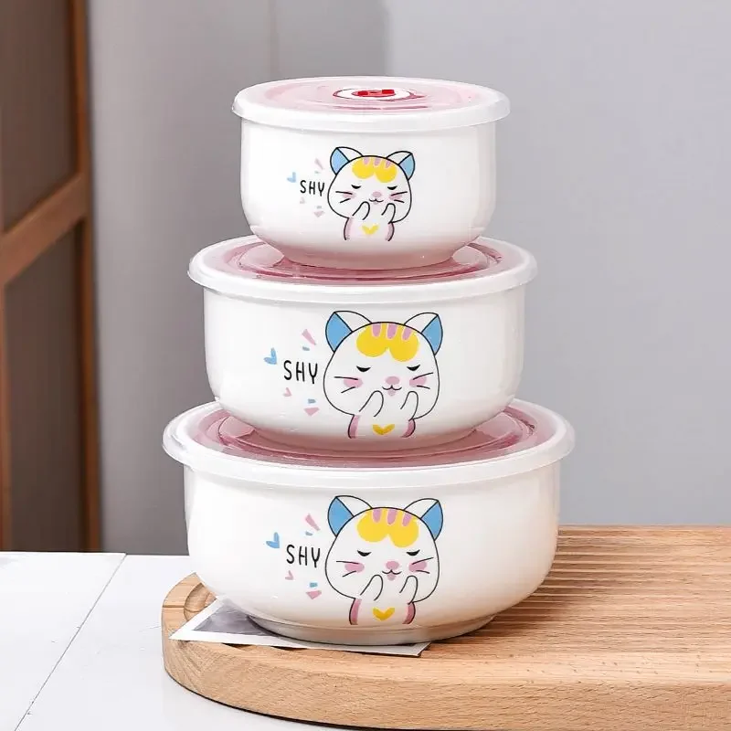 Ceramic fresh-keeping bowl high appearance level cartoon vacuum portable new dormitory foam bowl refrigerator anti-odor storage