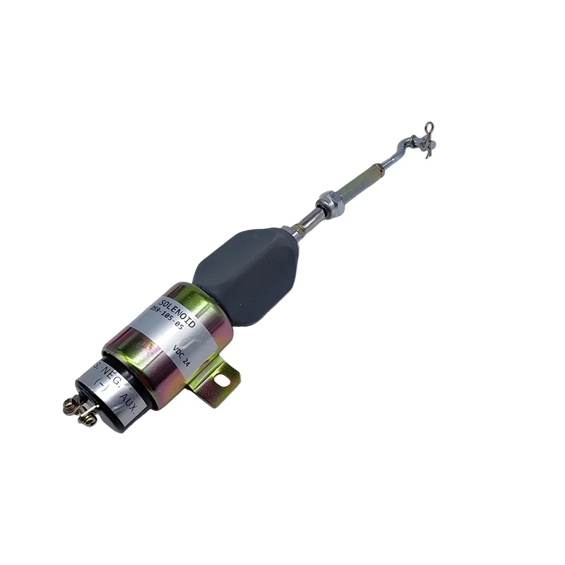 The Electromagnetic… - image