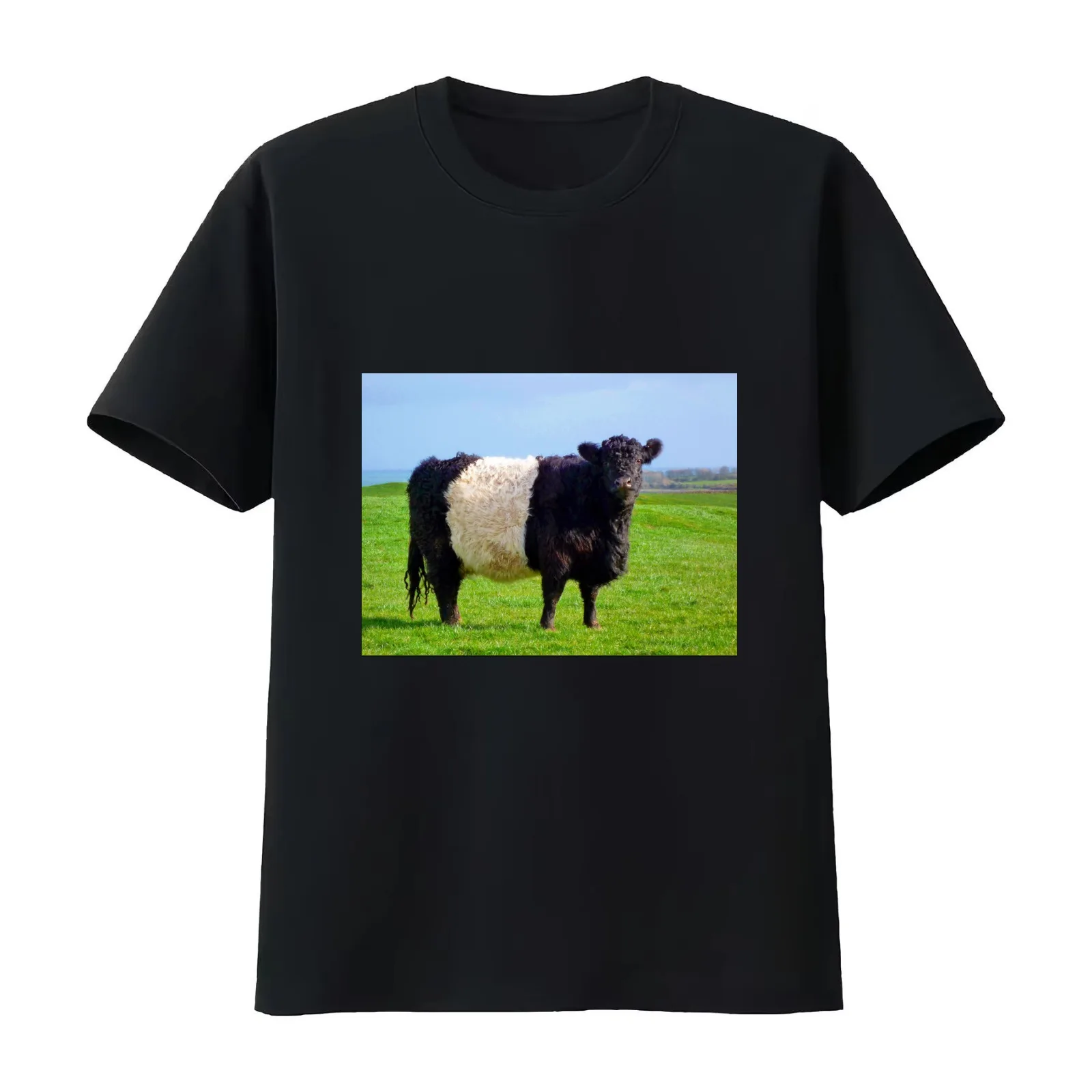 Belted Galloway Bull T-Shirt Summer Casual Cotton Tee Oversized Streetwear Tops Vintage Graphic Print Loose Fit Short Sleeve