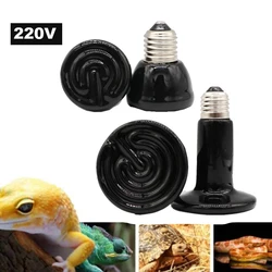 Mini Pet Reptile Infrared Ceramic Heating Lamp 220V Heat Emitter Light Bulb 50W 75W 100W E27 Turtle Warm Bulbs D1