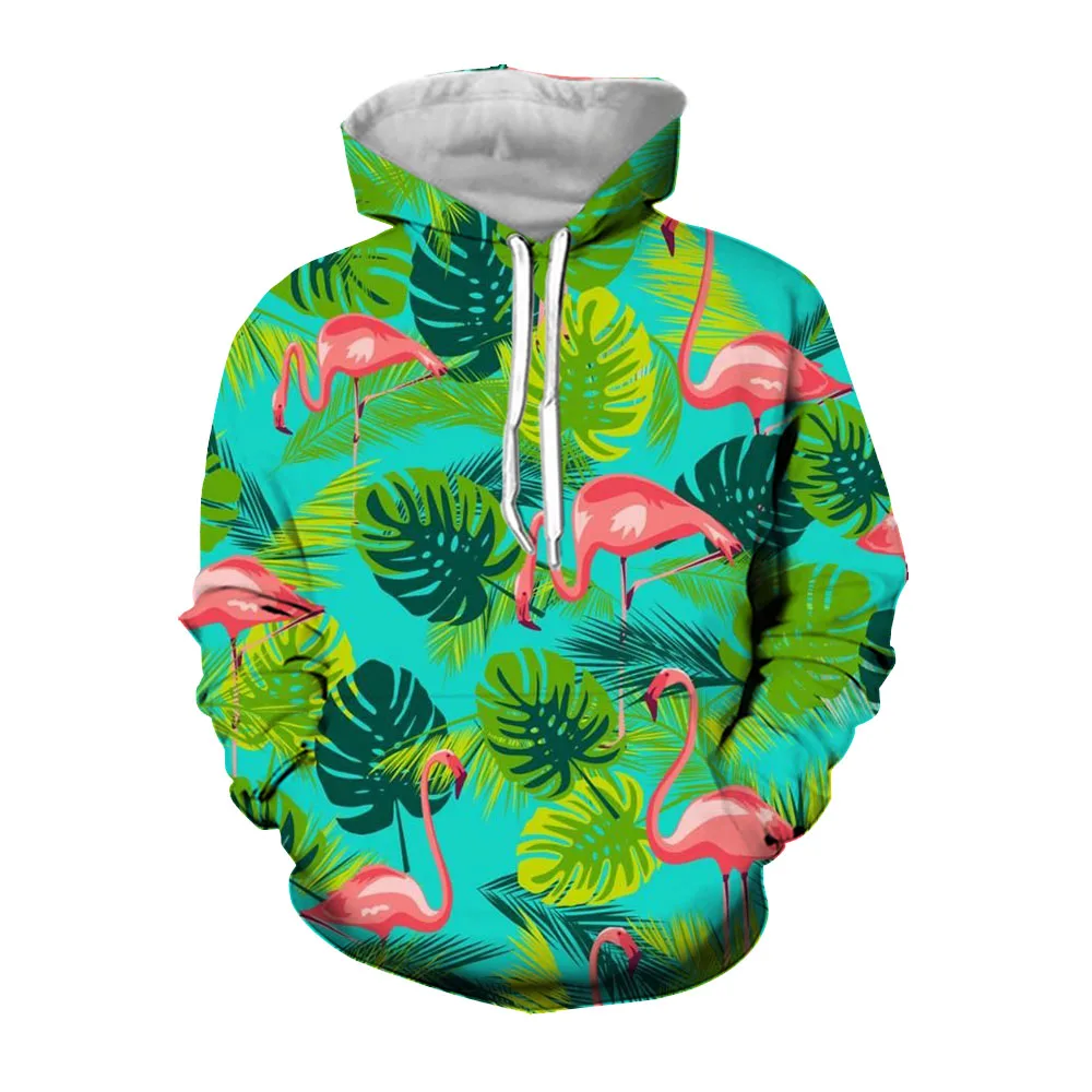 Jumeast 3D Flamingo Animal Printed Men Hoodies Academia Aesthetic Cartoon Dinosaur Hoodie Cottagecore Oversize Casual Clothing