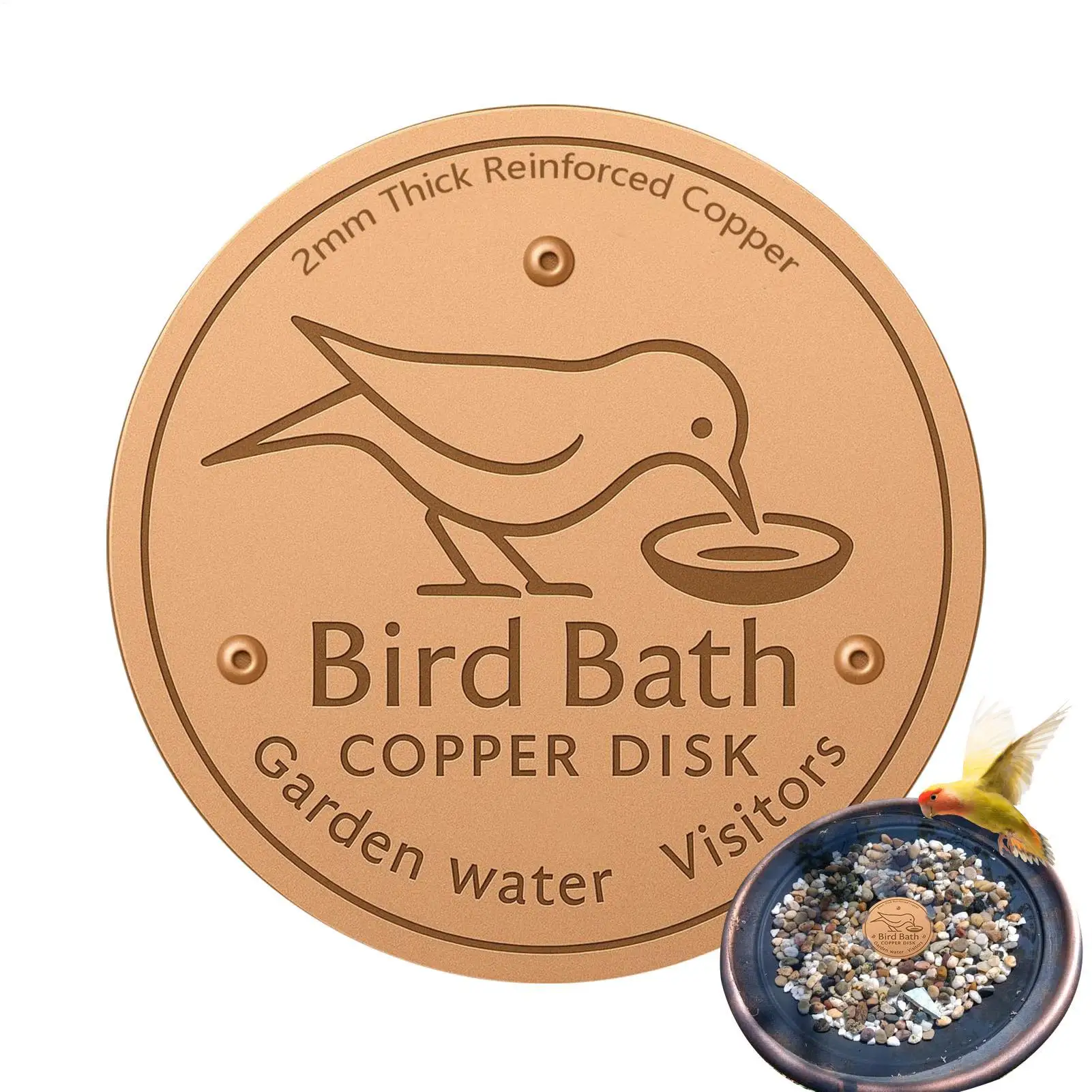 #79 Bird Baths Comparison Guide