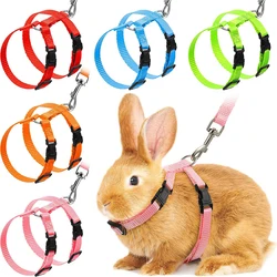 Niedriger Preis Kaninchen Katze Geschirr und Leine Set Einstellbare Nylon Geschirre für Bunny Kätzchen Haustier Outdoor Walking Liefert Zubehör