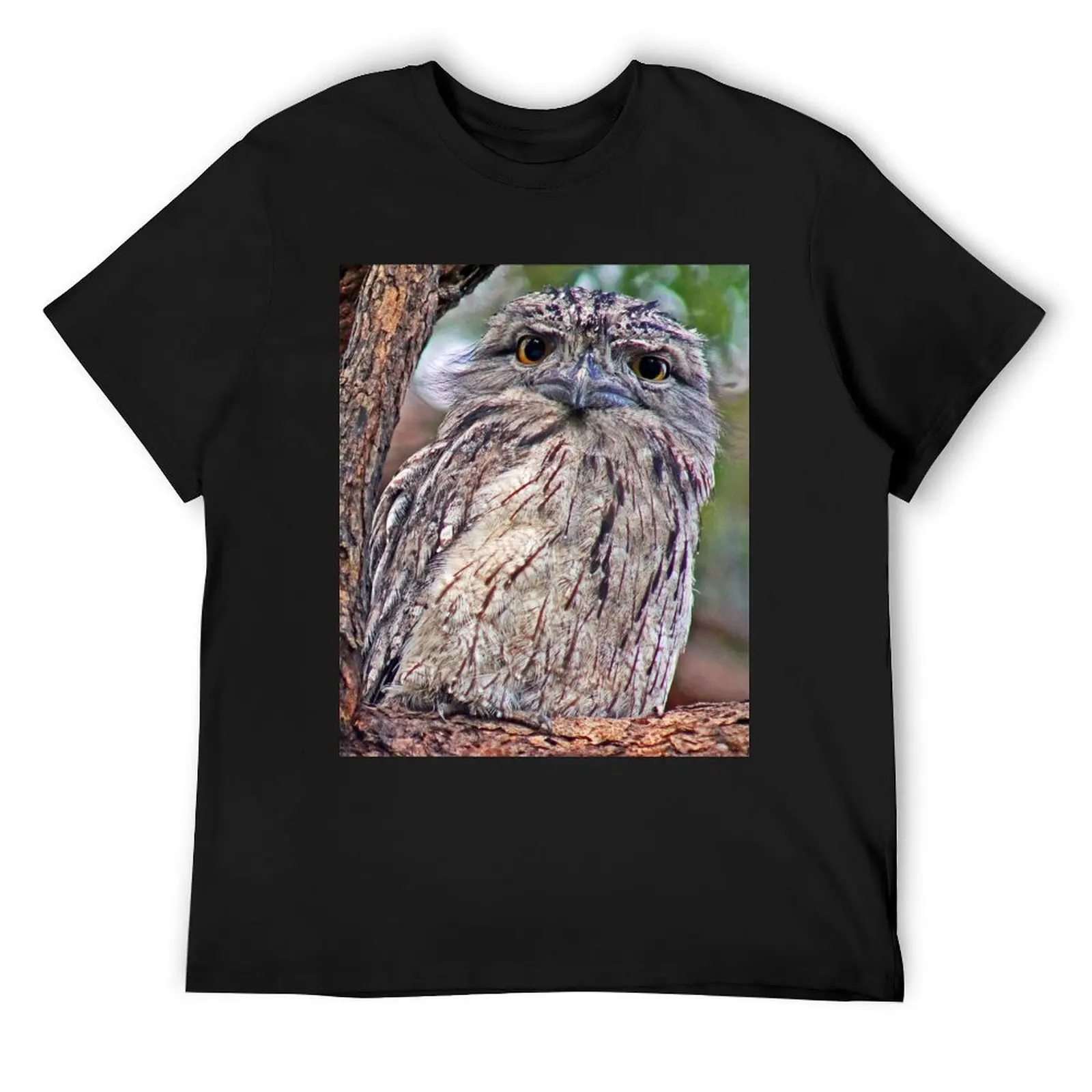 

Frogmouth bird T-Shirt summer clothes tops graphic shirts vintage clothes men workout shirt