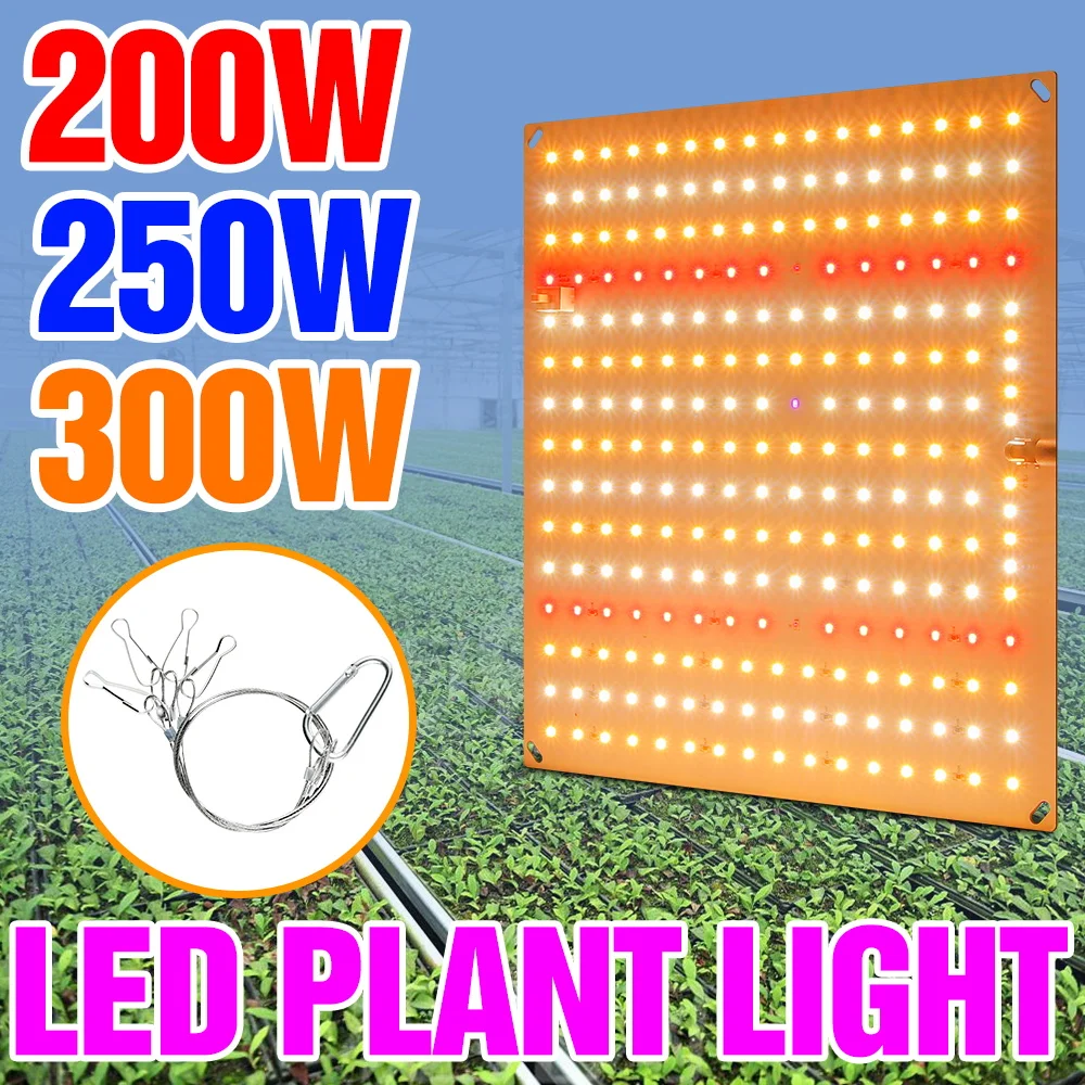

300W Full Spectrum Grow Light LED Indoor Seeding Planting Panel Lamp Greenhouse Tent Vegs Hydroponic Fruits Cultivation Lighting