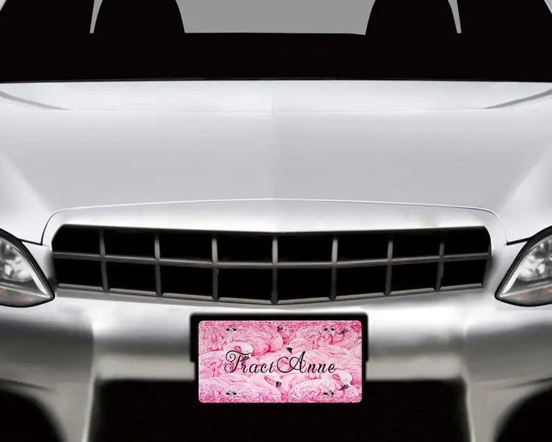 Personalized Pink Flamingo Aluminum Front License Plate