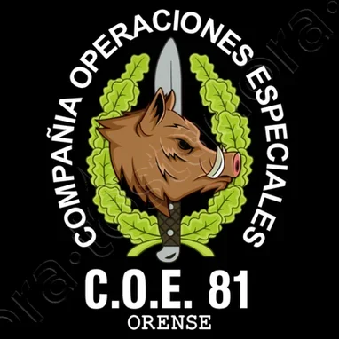 تي شيرت Spanish Legion COE 81 Orense Mod 1 بشعار العمليات الخاصة. الصيف القطن س الرقبة الرجال قصيرة الأكمام تي شيرت جديد S-3XL #5