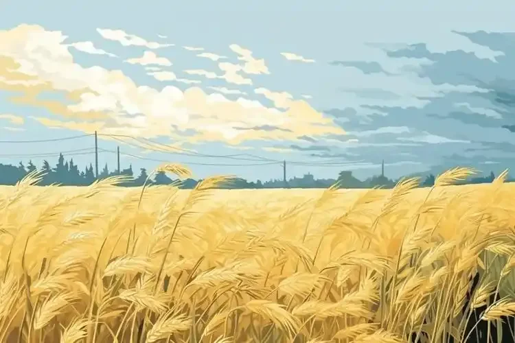 

Используется для MJX 1/16 16208 16209 16210 H6V3 M163 RC автомобильные детали металлический комплект обновления