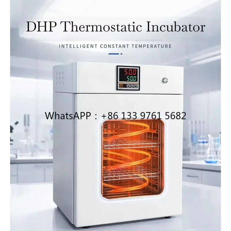 WSQ DHP 50 Liter Laboratory Electric Heating Incubator Constant Temperature Chamber Thermostat Device for Microbiological
