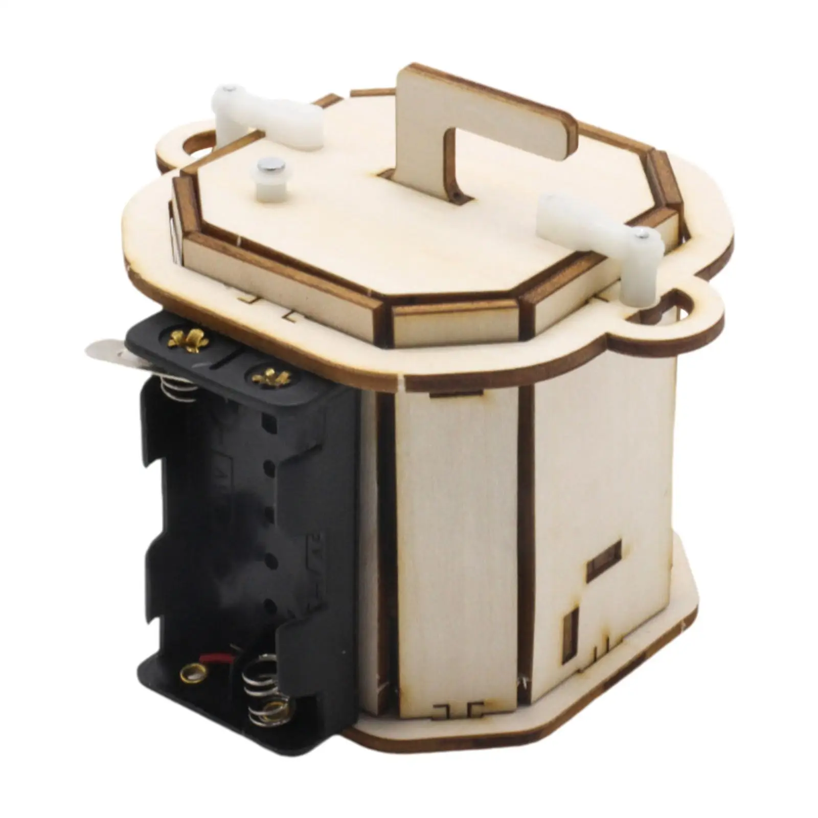 Houten bouwsteenset Natuurkunde Leermiddel Experimenten Wetenschapsset voor kinderen Elementaire studenten Jongens Meisjes Verjaardagscadeaus