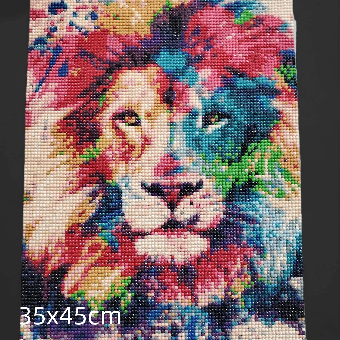 Diamond Paintings Colorful Lion and Lioness Gemstones Mosaic Embroidery Jungle Animal Needlework Picture of Rhinestones Gift