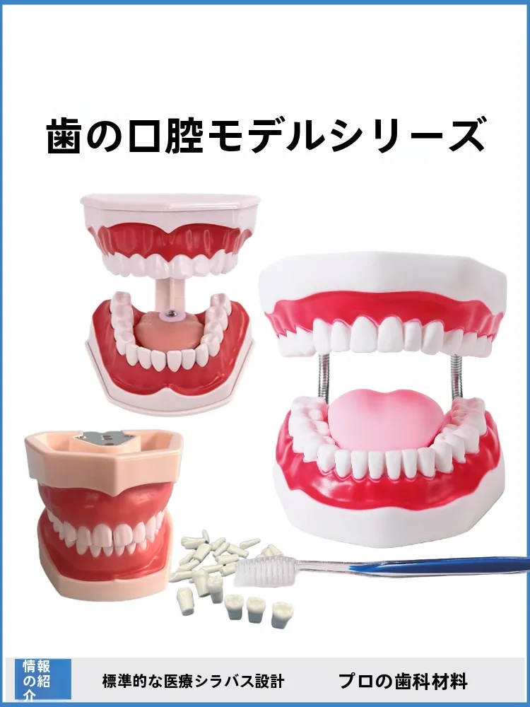 Zhenhe: Innovative Zahnpflege-Spielzeug für Kinder – Lernen Sie die Zahnpflege spielerisch kennen