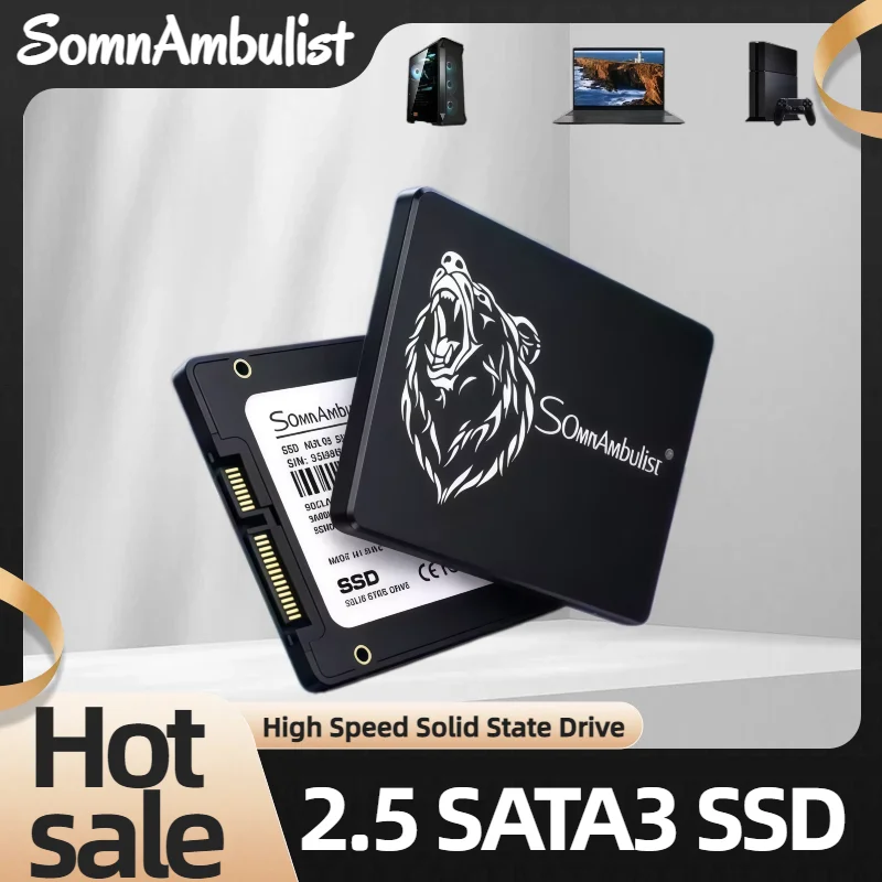 

2026 SomnAmbulist SSD Solid State Drive Wholesale for 2.5 Inch Sata3.0 Desktop 256GB Notebook Computer Hard Disk