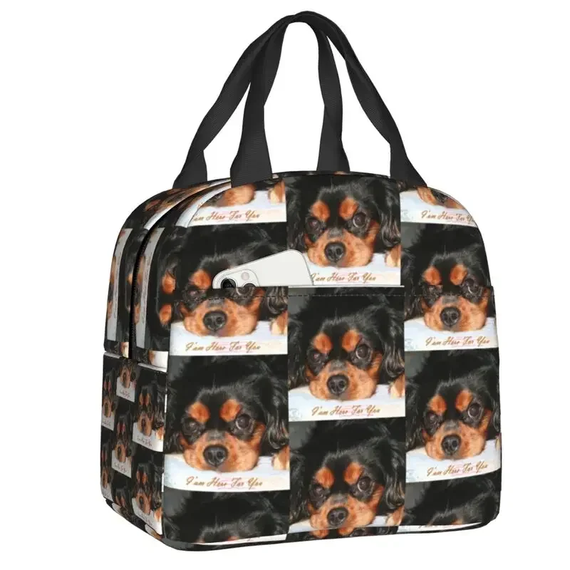 صناديق الغداء المحمولة كافالير كينغ سبانيل جرو للحيوانات الكلب برودة الغذاء الحراري معزول حقيبة الغداء مدرسة الاطفال
