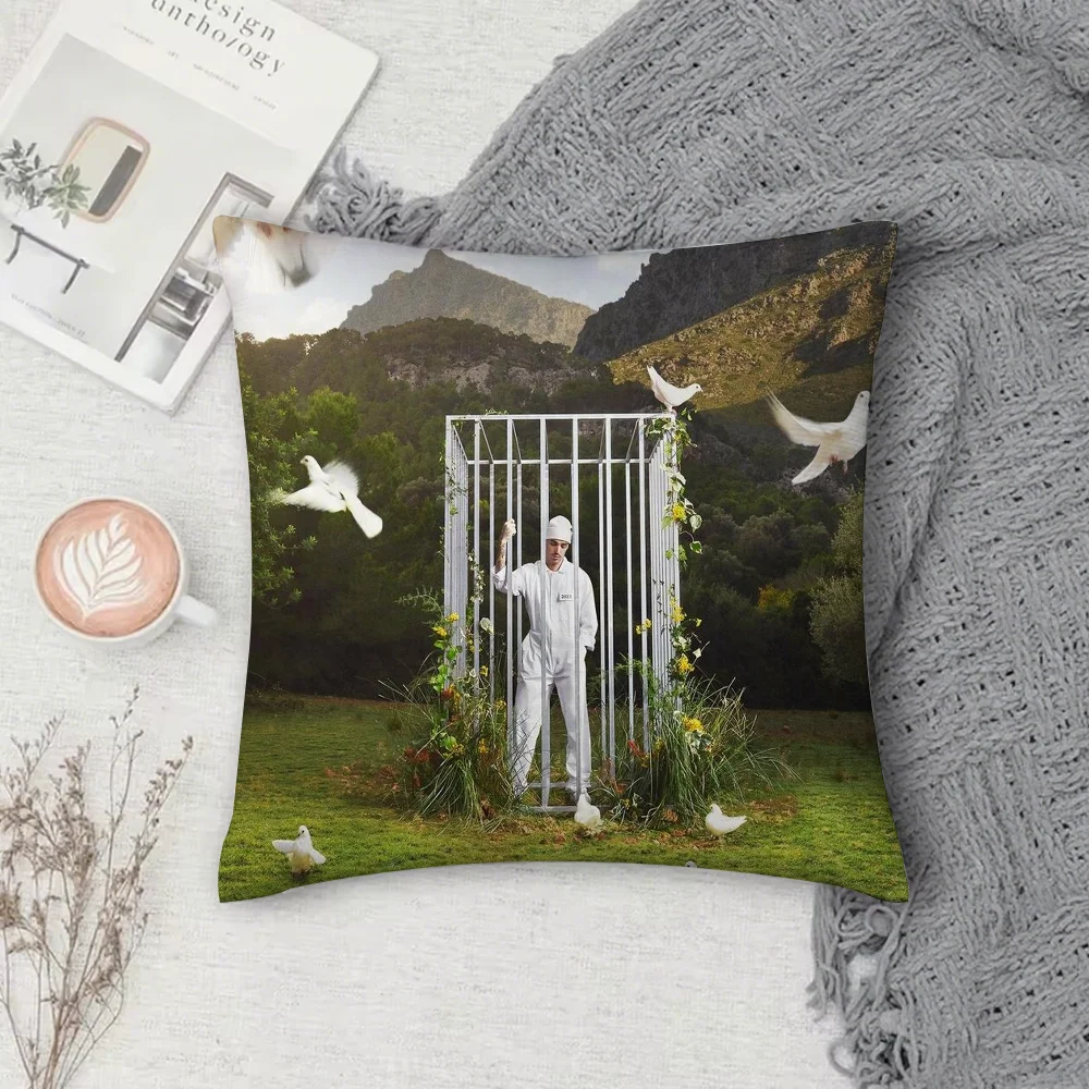 

Rapper R-Rels B a new star Pillow Case Square Double-Sided Printing Short Plush Sofa Cushion Cover Bedside Pillow