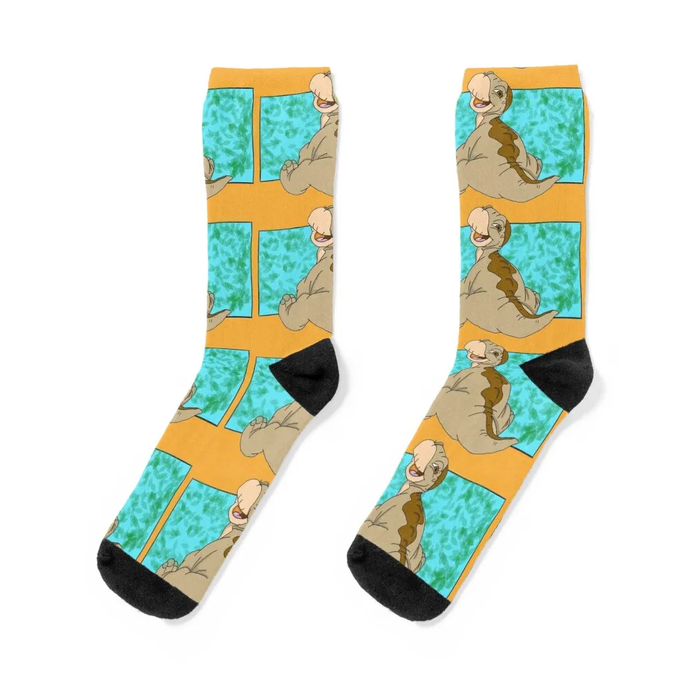 

Littlefoot Socks gift cycling Novelties valentine gift ideas Socks For Men Women's