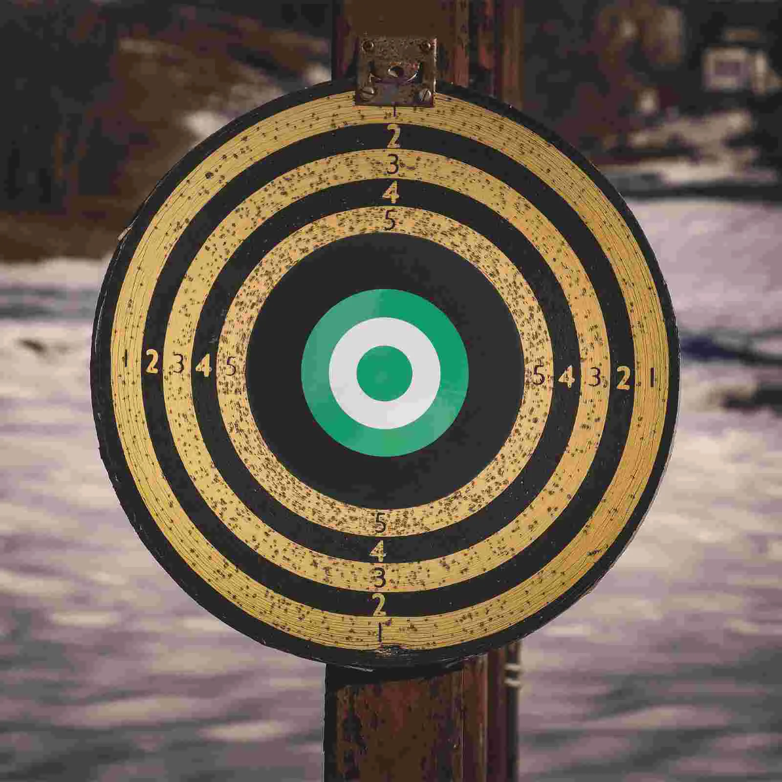 Portable Archery Target Hunting Practice Outdoor Shooting Stickers Reusable Bow Moving Arrow Eva Child