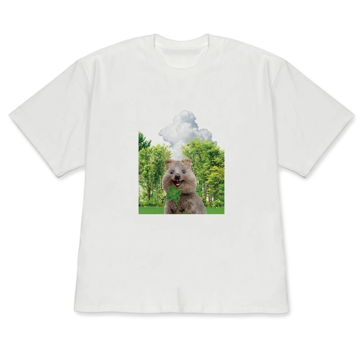 Cute Korean Style Short Sleeve T-shirt White Casual Crew Neck Tee with Lucky Four-Leaf Clover Design Aesthetic Daily Wear Top