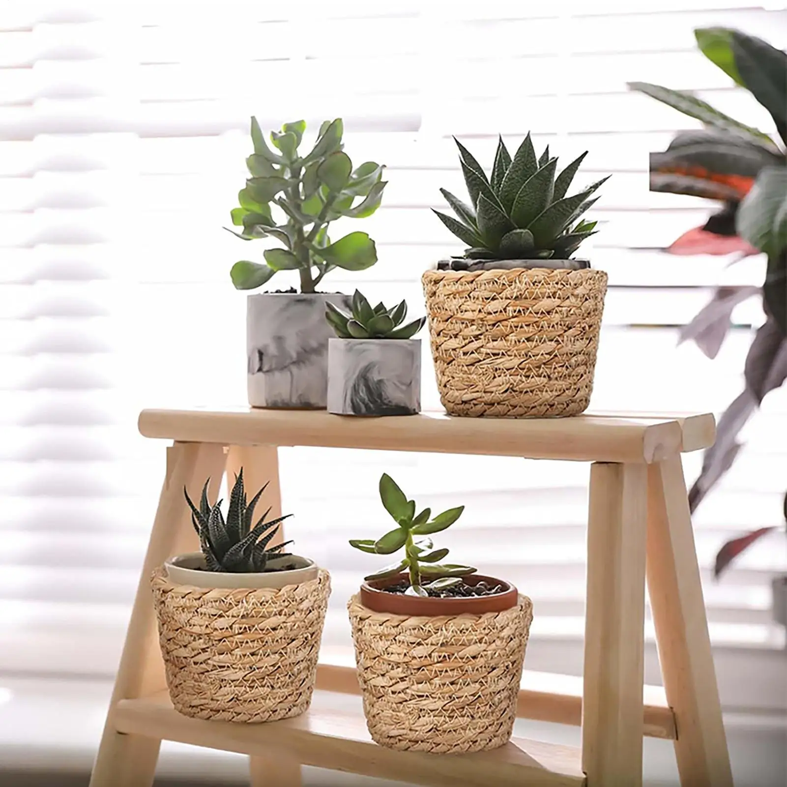 Basket Planter 3 Pieces Leak-Proof with Waterproof Lining Outdoor Basket Planter for Patio Porch Front Porch Outdoor Display