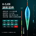 H SJ08