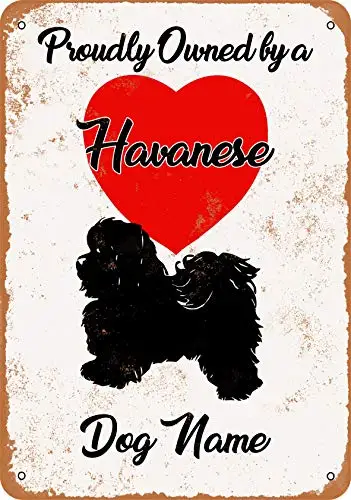 Metal Sign - Custom Dog Name - Havanese - Vintage Look